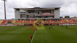 Il Monterosi vince al "Ceravolo": brutta prestazione dei giallorossi